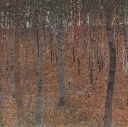 Gustav Klimt Beech Forest I (mk20) china oil painting reproduction